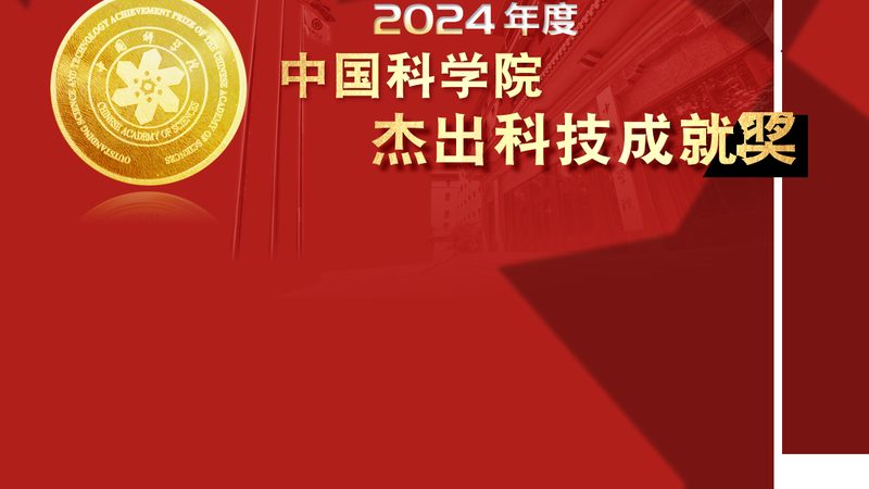 系统集成项目风险控制职责解析**